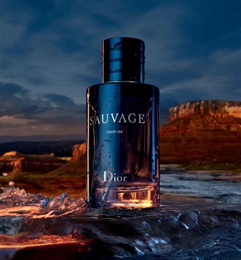 dior sauvage içindekiler|sauvage parfum dior.